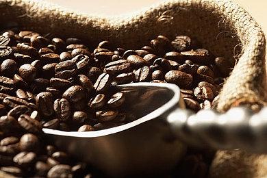 《街头霸王6》拉希德角色指南 7月24日正式发售