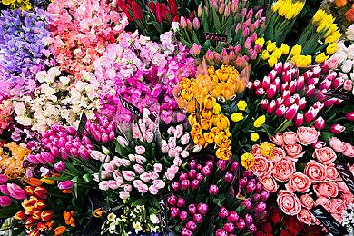 《Grand Emprise 2: Portals Apart》Steam页面上线 支持简中