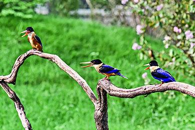 《吸血鬼幸存者》Steam好评人数破20万 官方发文庆贺