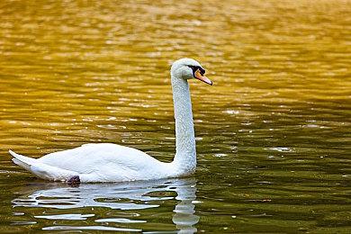 冒险游戏《伊甸门：生命边界》新预告 10月发售